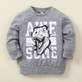 Load image into Gallery viewer, Kids Graphic Sweatshirt and Dinosaur Print Joggers Set
